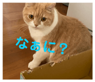 879856899