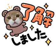 879857078