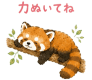 879866812