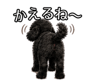 879872405