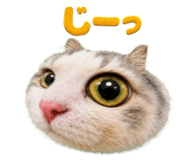 879873631