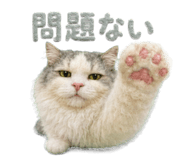 879873638