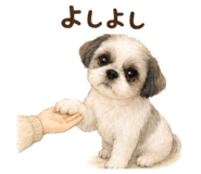879879957