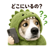 879884075