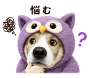 879884087