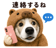 879884092
