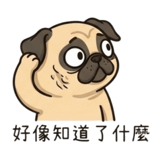 879890300