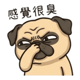 879890319