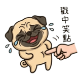 879890329