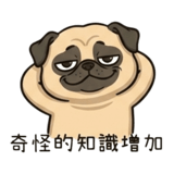 879890334