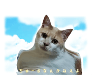 879894190