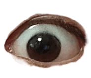 879896016
