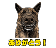 879896215