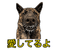 879896216