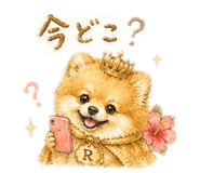 879896566