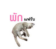 879932073
