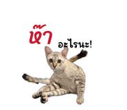 879932074