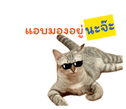 879932076