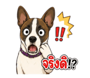 879932678