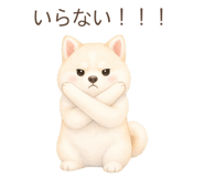 879938856