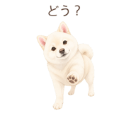 879938861