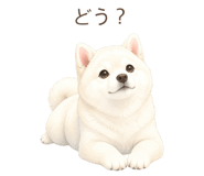 879938875