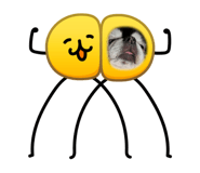 879939507