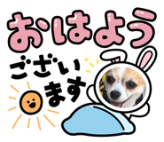 879939628