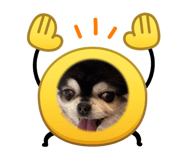 879940088