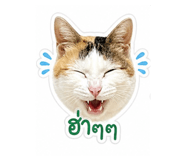 879974058