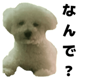 880000858