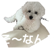 880000861