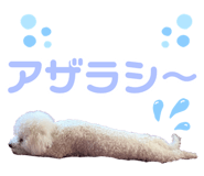 880000862