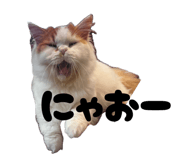 880001365