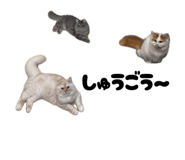 880001381