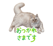 880001399