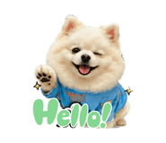 880009977