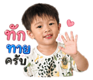 880021241