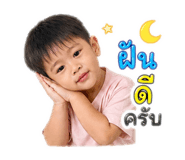 880021246