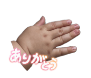 880026029