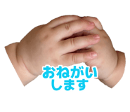 880026031