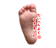 880026032