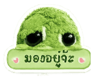 880026351