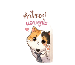 880032946