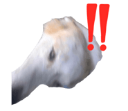 880060017
