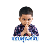 880062116