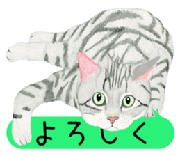 8800708