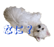880081689