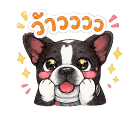 880082116