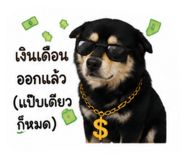 880084690